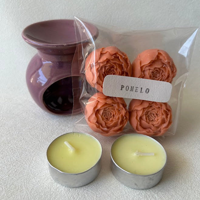 Pack Wax melts con quemadores
