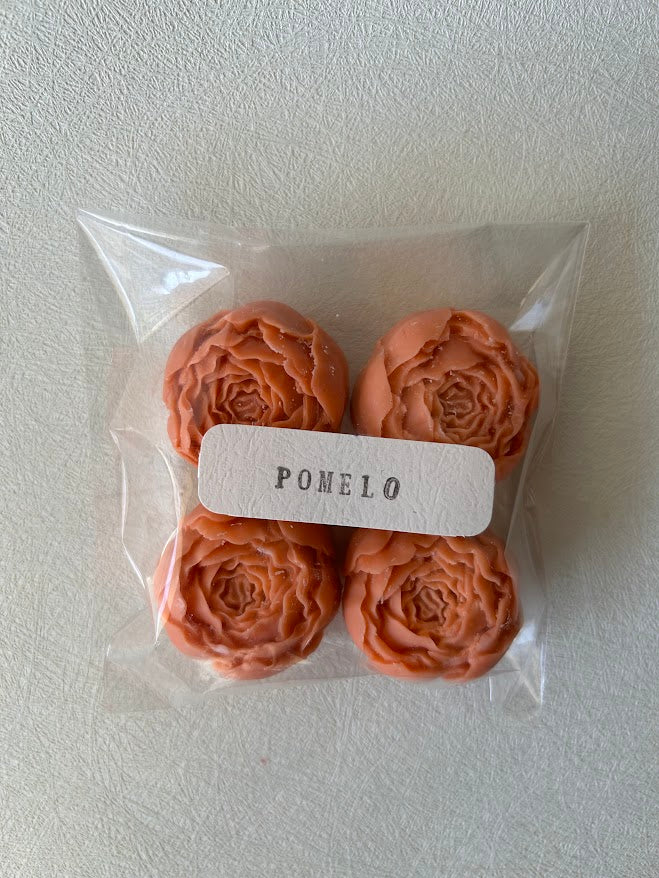 Wax Melts